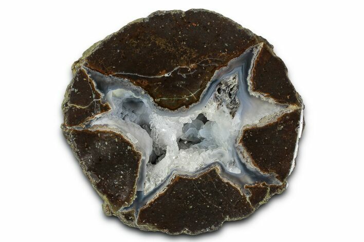 Colorful Polished Thunderegg Half - Nevada #337797